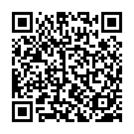 QR code for QAI 101