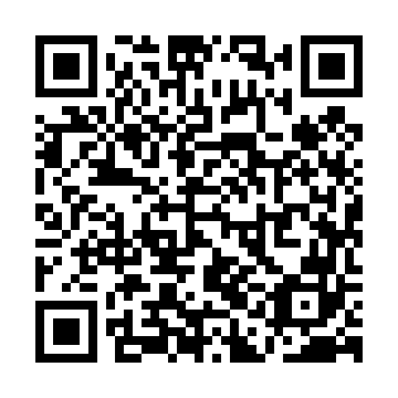QR code for QAI 462