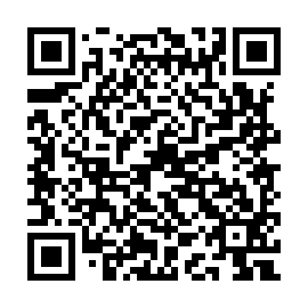 QR code for QAP 993