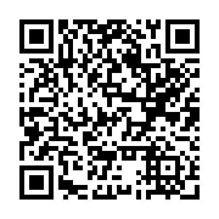QR code for QAR351