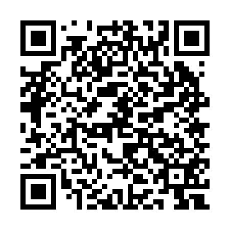 QR code for QDE 251