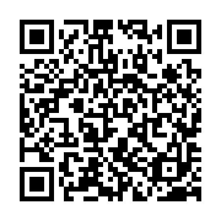 QR code for QDN 393