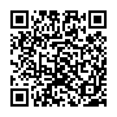 QR code for QDQ 493