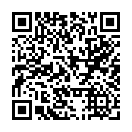 QR code for plate QDQ 396