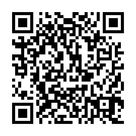 QR code for plate QDR 502