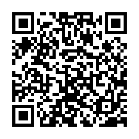 QR code for QDT 113