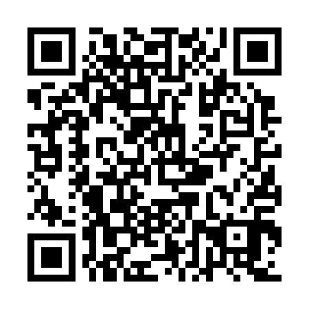 QR code for plate QDV 310
