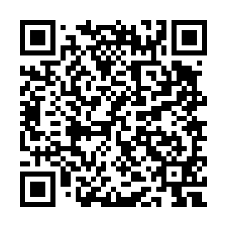 QR code for QDZ 491