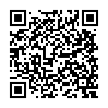 QR code for QER 596
