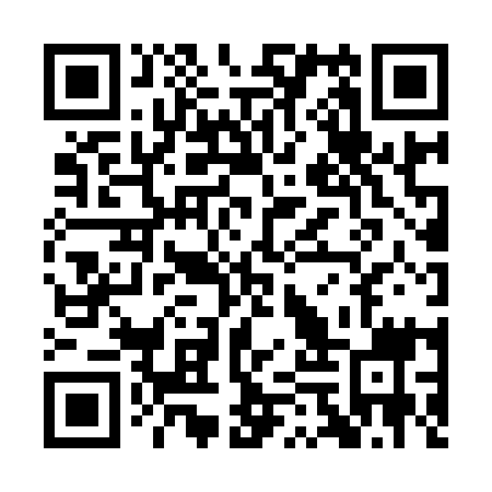 QR code for plate QEZ 919