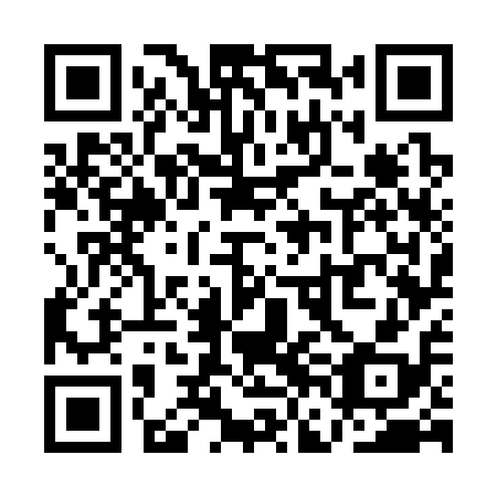 QR code for QFG 318