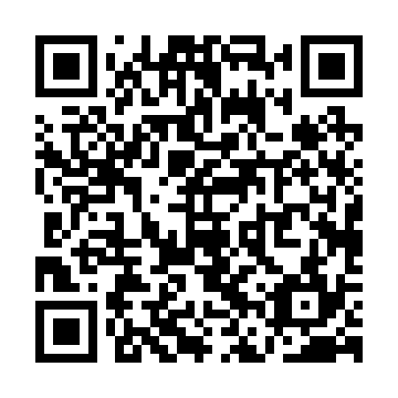 QR code for QFP234