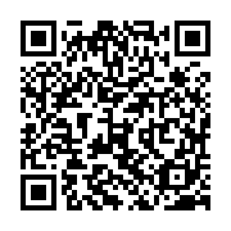 QR code for QFZ 950
