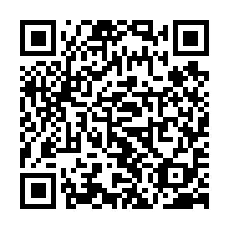 QR code for plate QGG 699