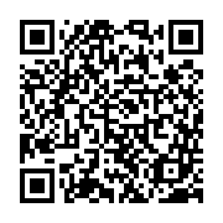 QR code for QGI 543