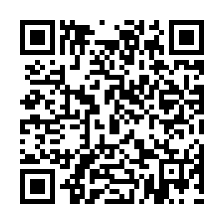 QR code for QGL 875
