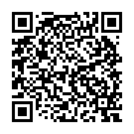 QR code for QGO295