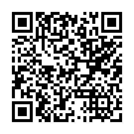 QR code for plate QHL 206