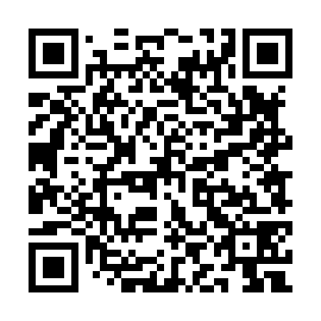 QR code for QID 878