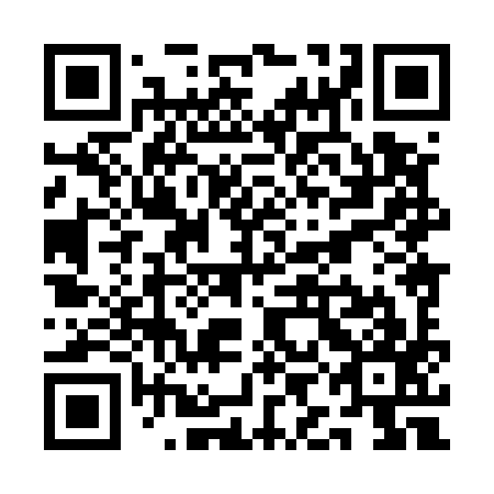 QR code for QIH 597