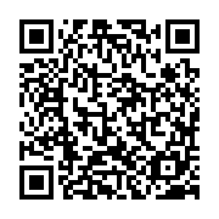 QR code for QIJ 355
