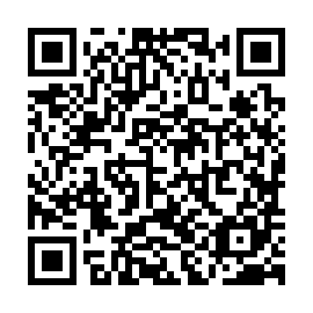 QR code for QIJ 385