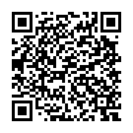 QR code for plate QIJ 053