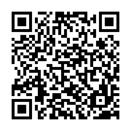 QR code for QIM 196
