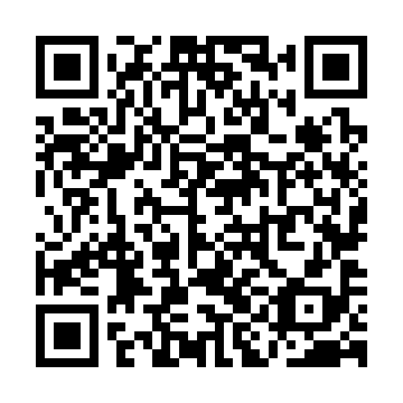 QR code for QIN 398