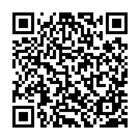 QR code for QIN 787