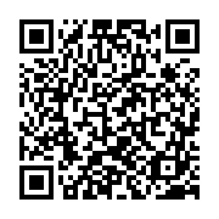 QR code for QIN 963