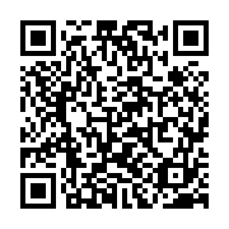 QR code for QIN873