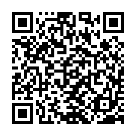 QR code for QIR 113