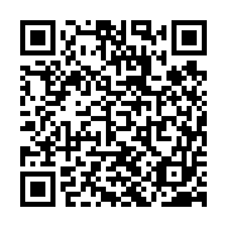 QR code for QIU 653