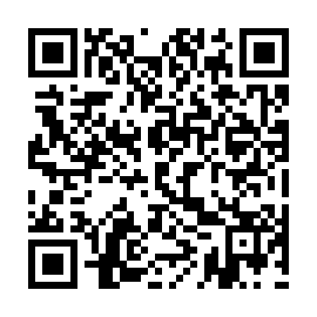 QR code for QIZ303