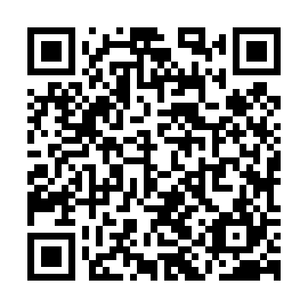 QR code for QIZ424