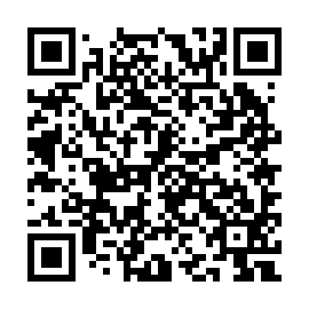 QR code for QJE 293
