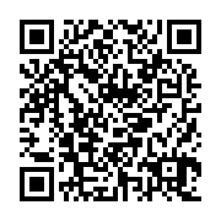 QR code for plate QJJ 924