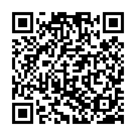 QR code for plate QJN 491
