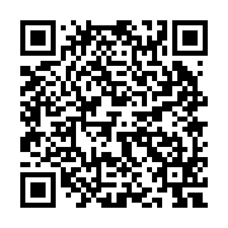 QR code for plate QJQ 295
