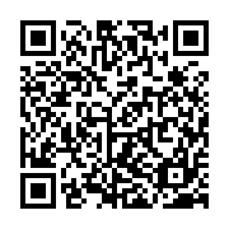 QR code for plate QLE 917