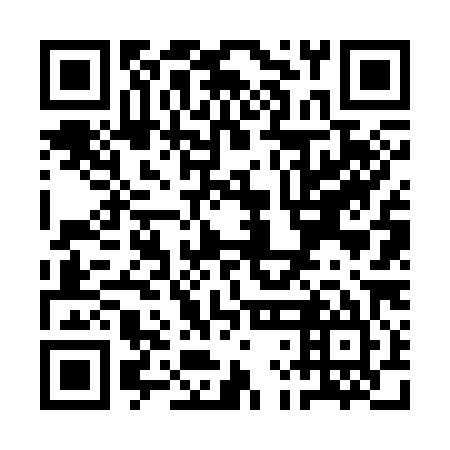QR code for QLF385