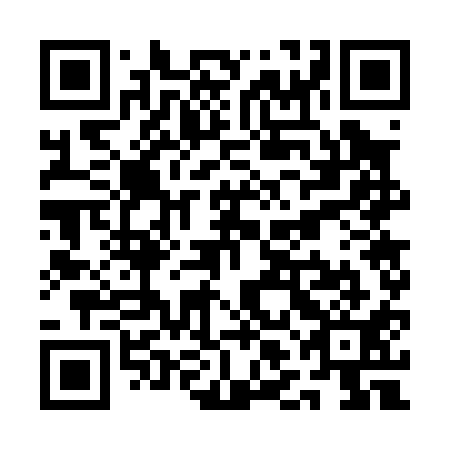 QR code for QLG 011