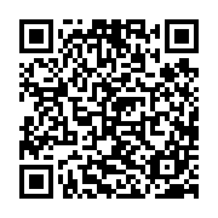 QR code for plate QLP 607