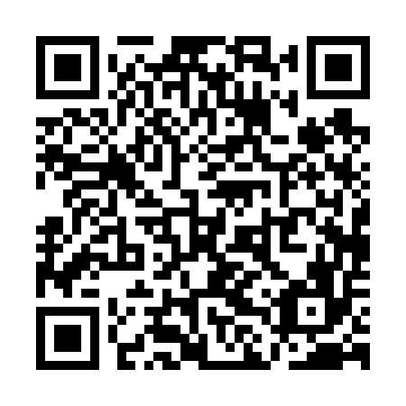 QR code for QLP656