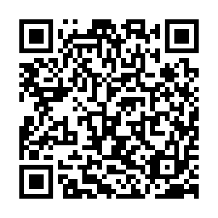 QR code for QLQ313