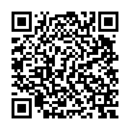 QR code for plate QLR 461