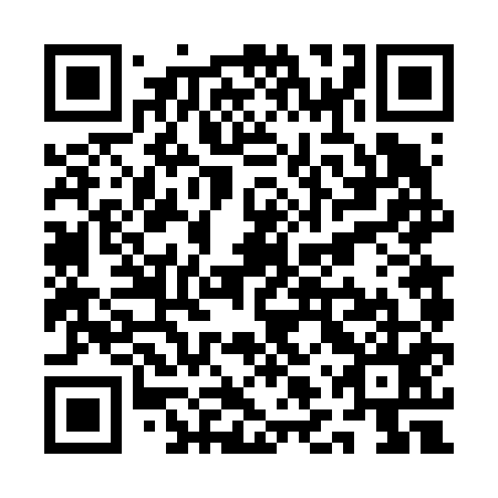 QR code for plate QLV 655