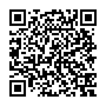 QR code for QLY 738