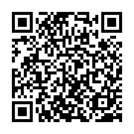 QR code for QMG 803